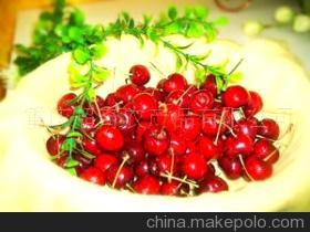 探索重慶超奇農(nóng)產(chǎn)品 優(yōu)質(zhì)生鮮水果的多元化供應(yīng)