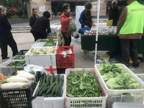 便捷與實(shí)惠并行 高品質(zhì)農(nóng)產(chǎn)品進(jìn)社區(qū)，守護(hù)市民餐桌健康